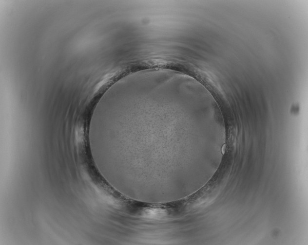 X0000094200220200711021100