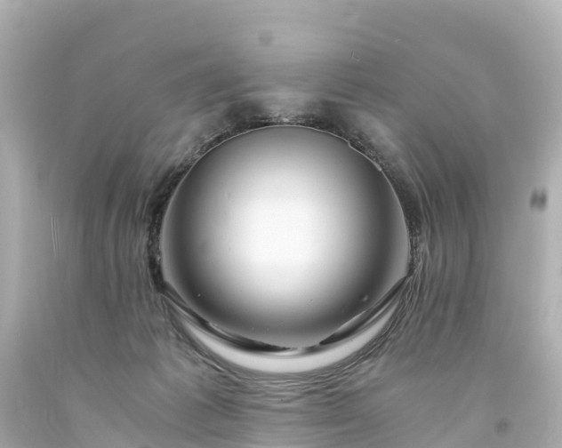 X0000094200221200711021100