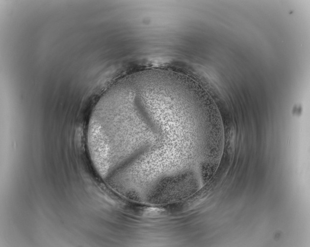 X0000094200222200711021059