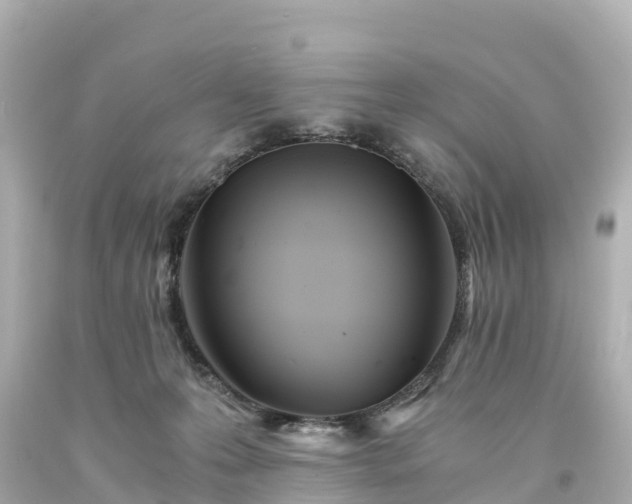 X0000094200223200711021059