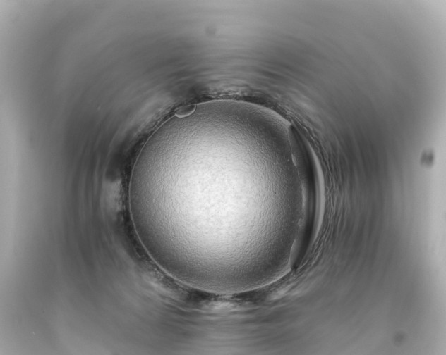 X0000094200224200711021059