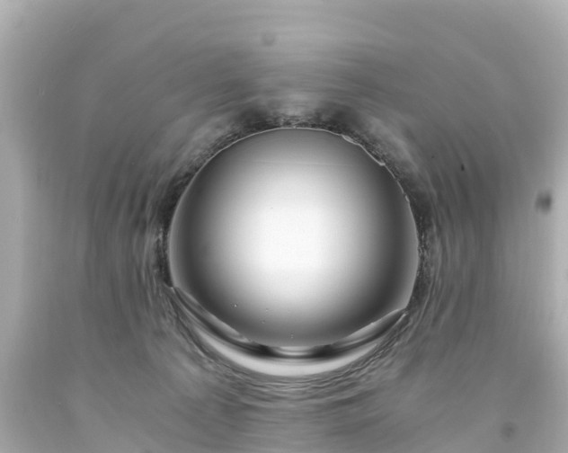 X0000094200225200711021059