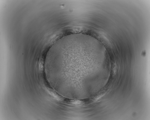 X0000094200226200711021059