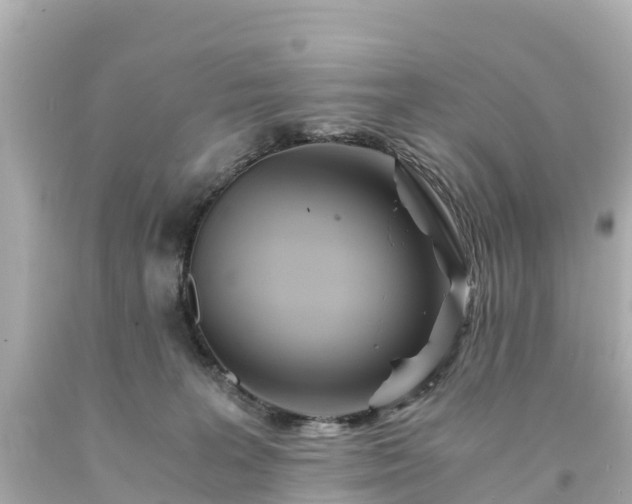 X0000094200227200711021059