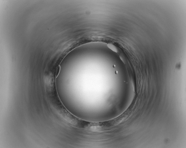 X0000094200228200711021059
