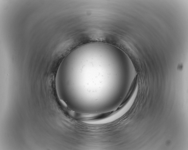 X0000094200229200711021059