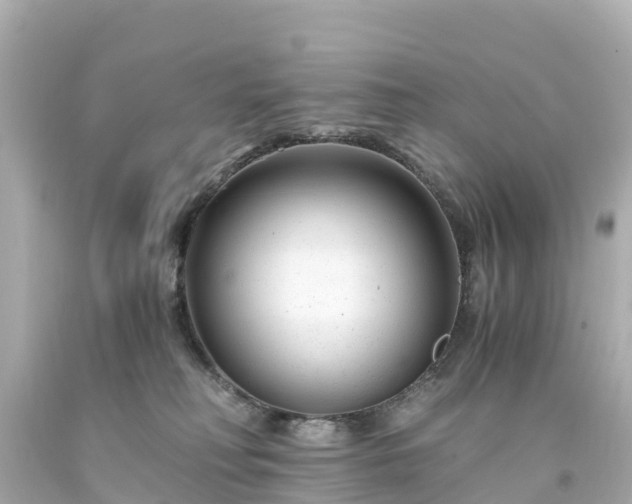 X0000094200230200711021059
