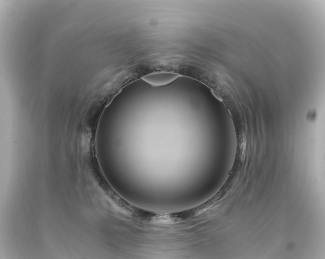 X0000094200231200711021059