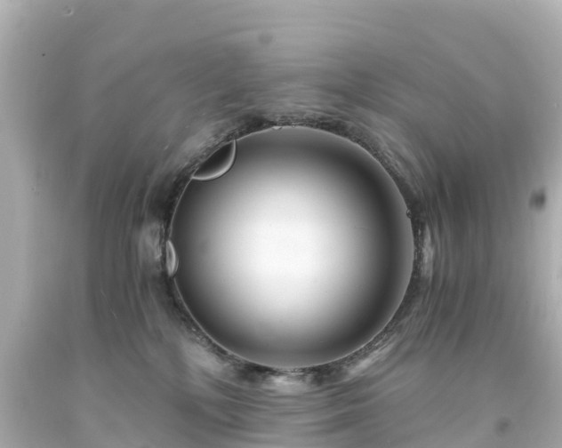 X0000094200232200711021059