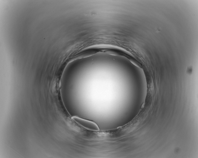 X0000094200233200711021059