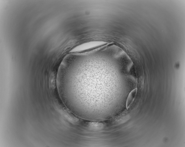 X0000094200234200711021059
