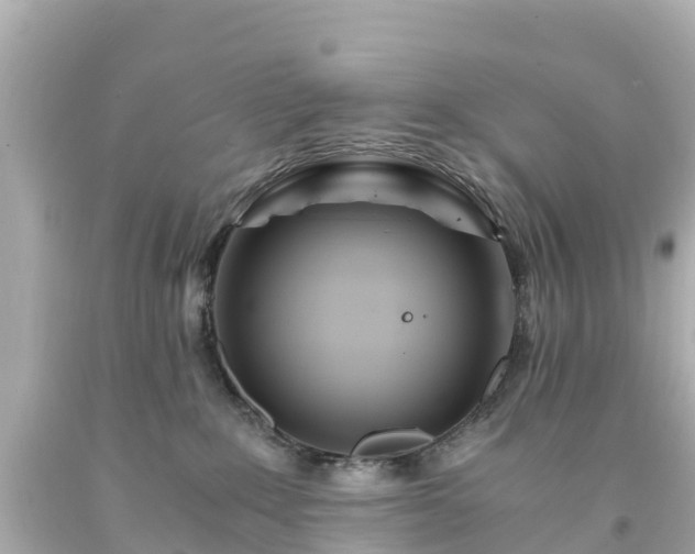 X0000094200235200711021059