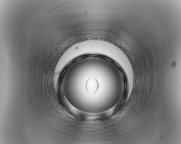 X0000094200237200711021059