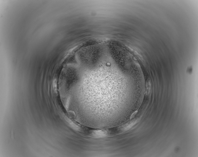 X0000094200238200711021059