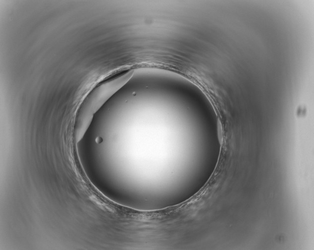 X0000094200241200711021059