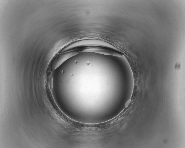 X0000094200242200711021059