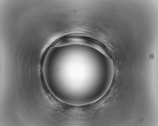 X0000094200244200711021059