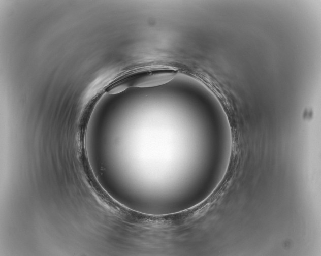 X0000094200245200711021059