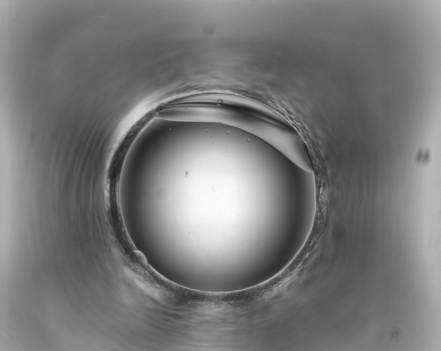 X0000094200246200711021059