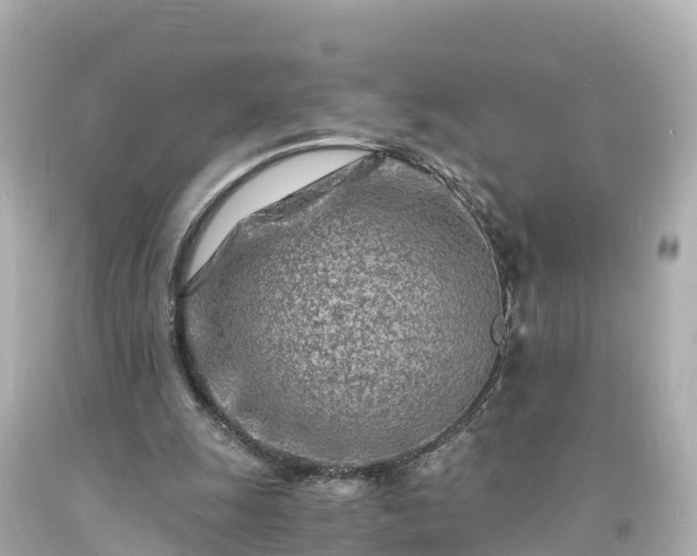 X0000094200247200711021059