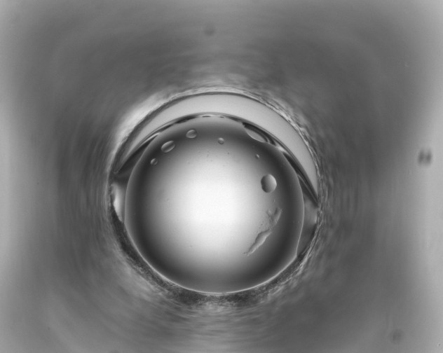 X0000094200248200711021059