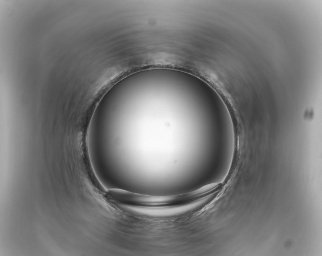 X0000094200249200711021059