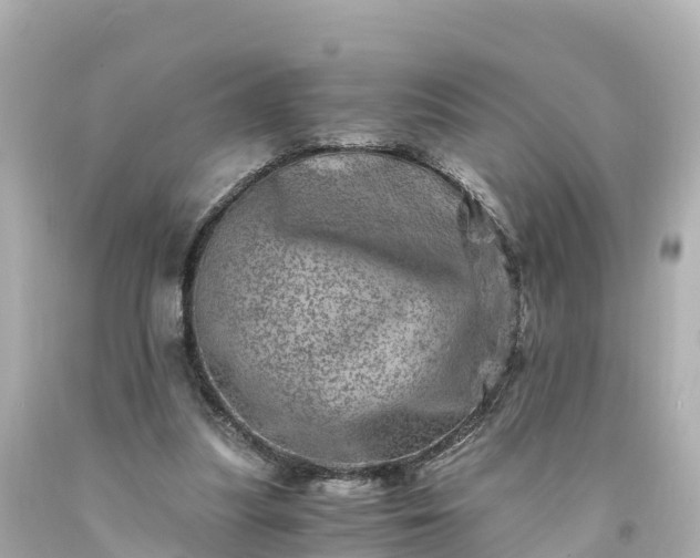 X0000094200251200711021059