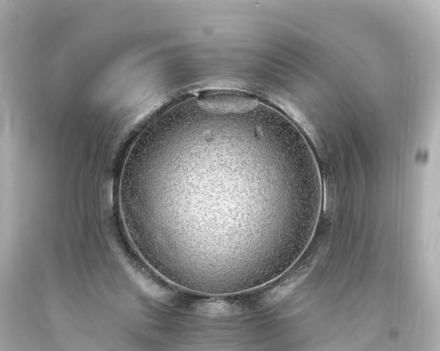 X0000094200253200711021059