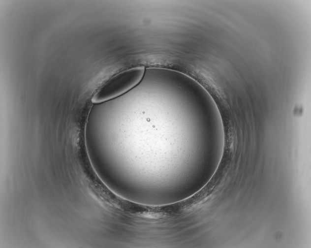 X0000094200255200711021059