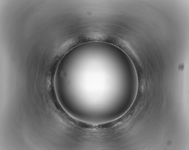 X0000094200259200711021059