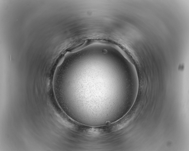 X0000094200261200711021059