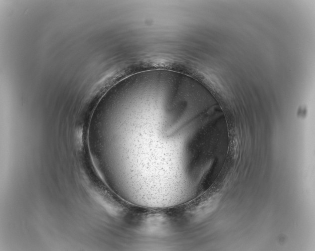X0000094200262200711021059