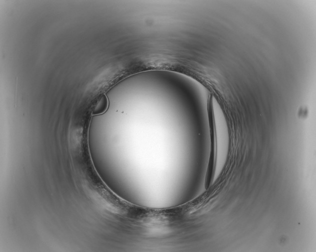 X0000094200263200711021059