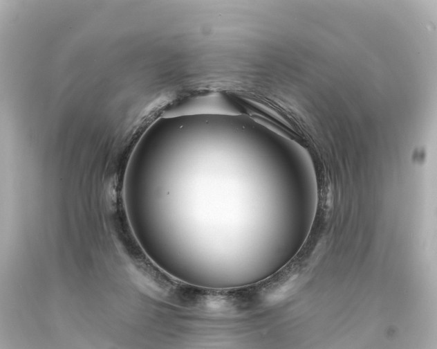 X0000094200264200711021059