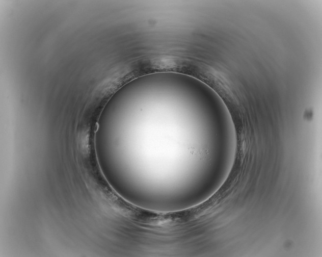 X0000094200267200711021059