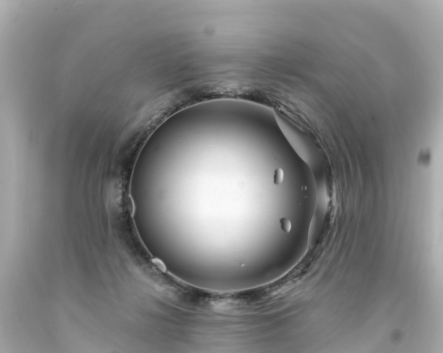 X0000094200268200711021059