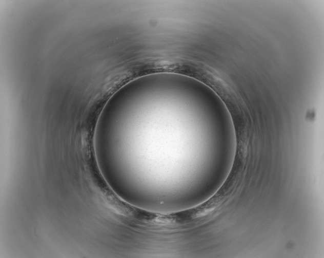 X0000094200270200711021059