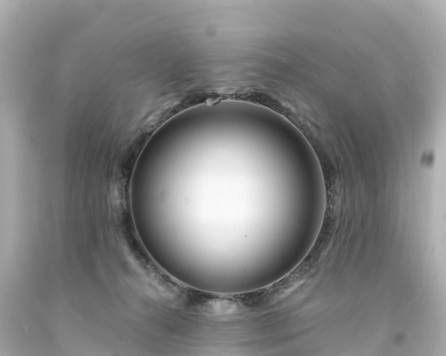 X0000094200272200711021059