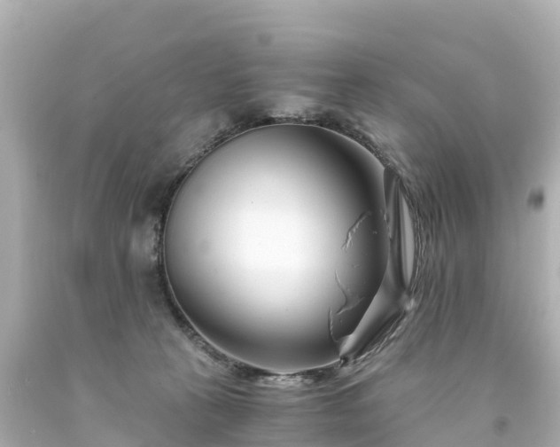 X0000094200273200711021059