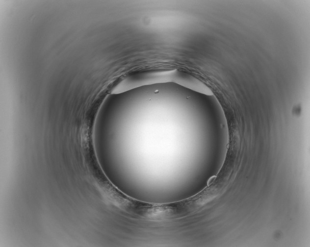 X0000094200274200711021059