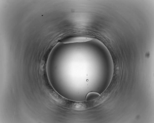 X0000094200275200711021059