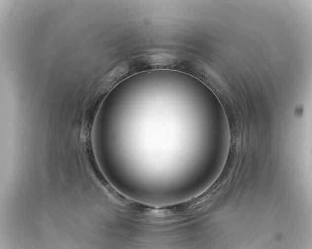 X0000094200277200711021059