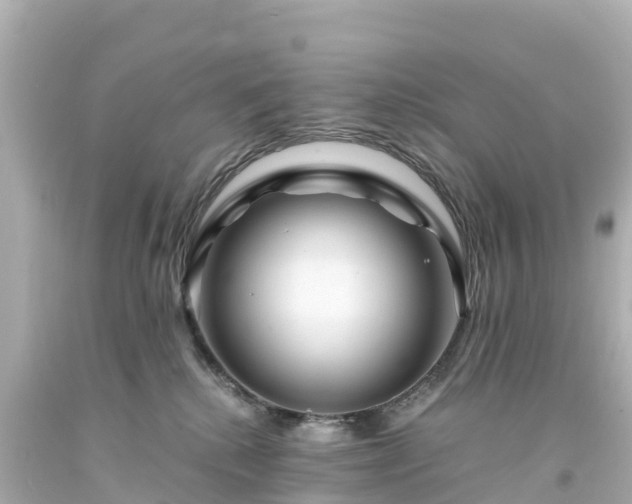 X0000094200280200711021059