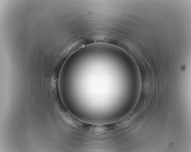 X0000094200282200711021059