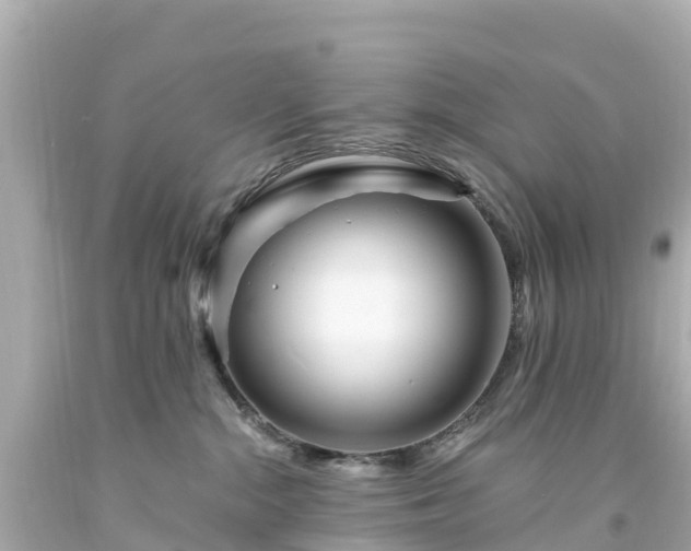 X0000094200284200711021059