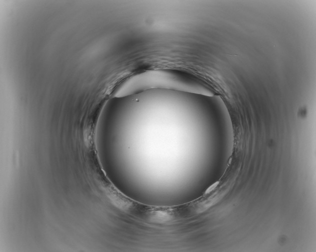 X0000094200285200711021059