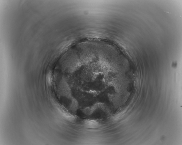 X0000094200287200711021059