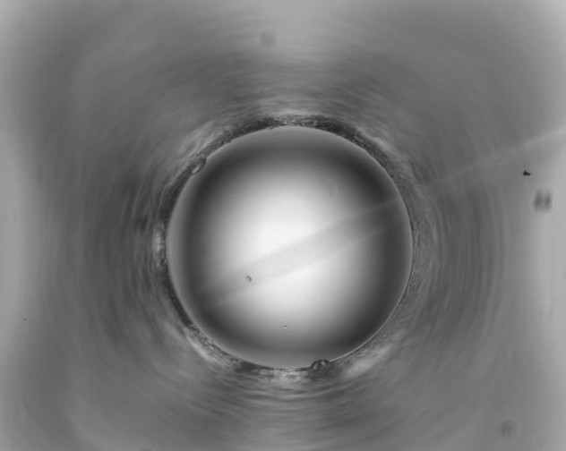 X0000094200288200711021059
