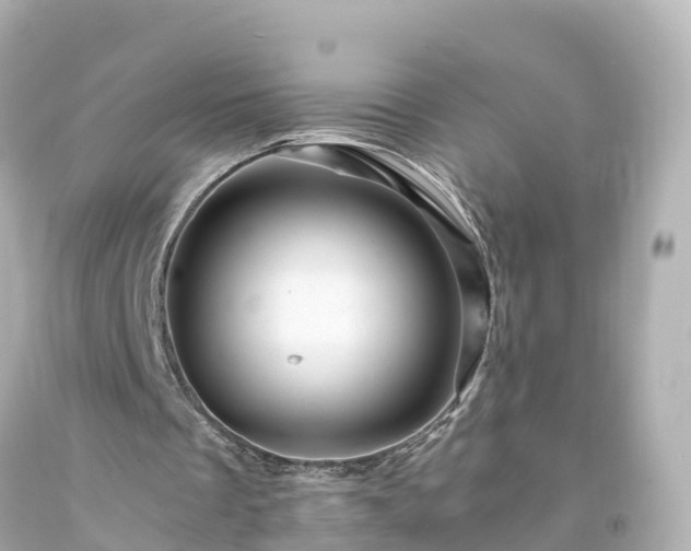 X0000094200289200711021059