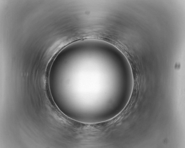 X0000094200290200711021059
